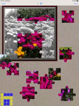 Game screenshot Jigsaw Puzzle Maker for iPad mod apk