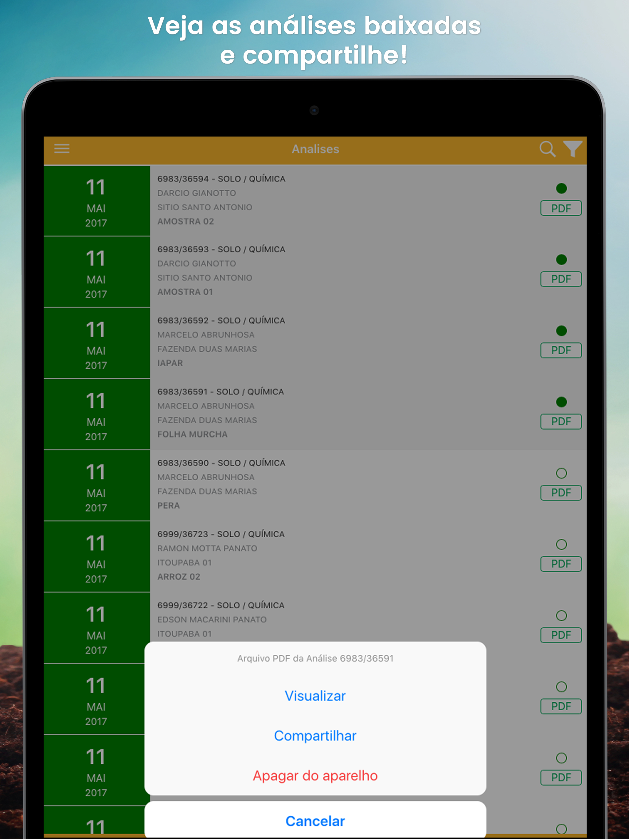 Laborsolo Connect