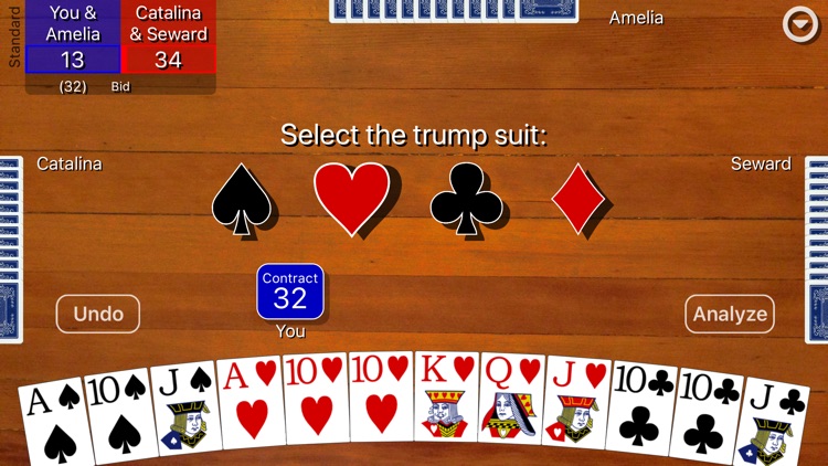 Pinochle Classic screenshot-5