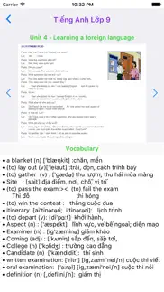 tieng anh lop 9 - english 9 iphone screenshot 2