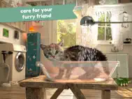 Little Kitten: Cat Adventures ipad bilder 2