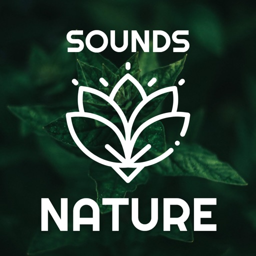 Relaxing Music - Nature,Yoga