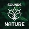 Relaxing Music is the application exceptionally designed for your device that will enable you to completely relax any place you are