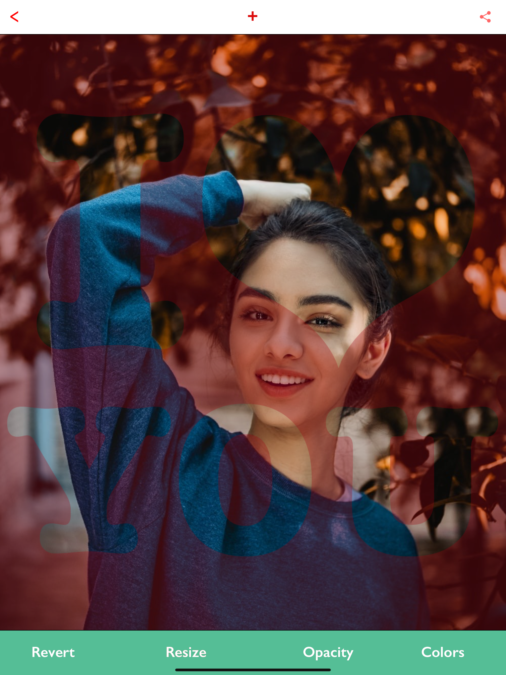 Gradient Shape, Mask Editor