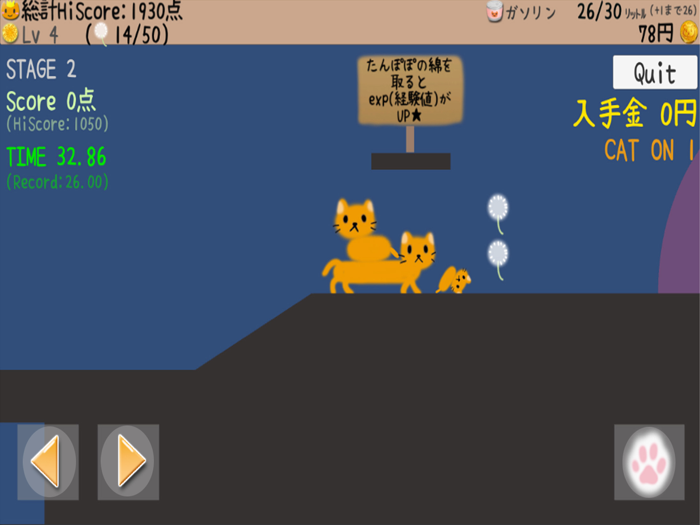 猫ちゃん運びます