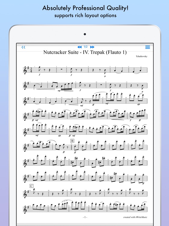 iWriteMusic Pro SE screenshot-7