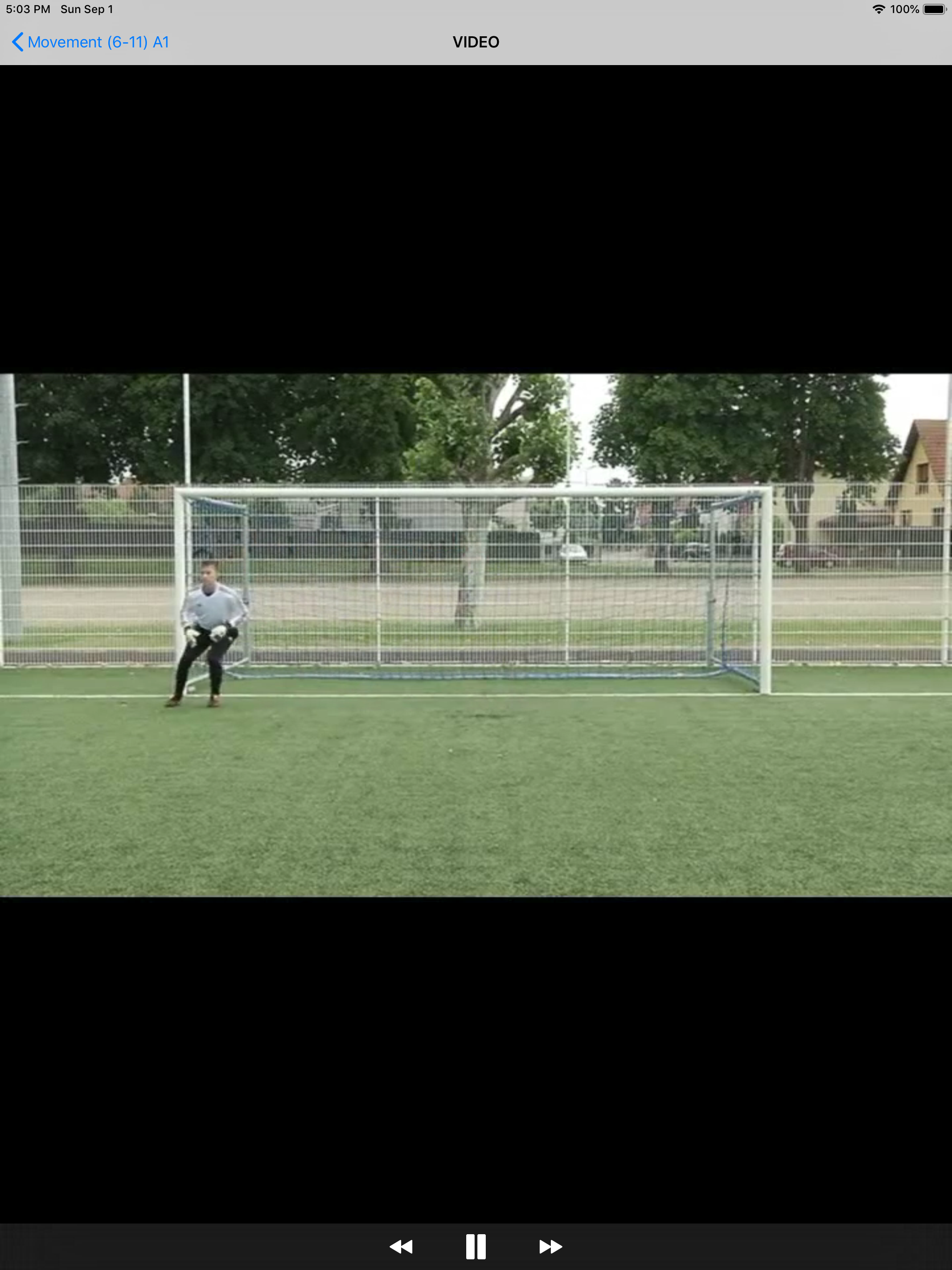 Goalkeeper Training