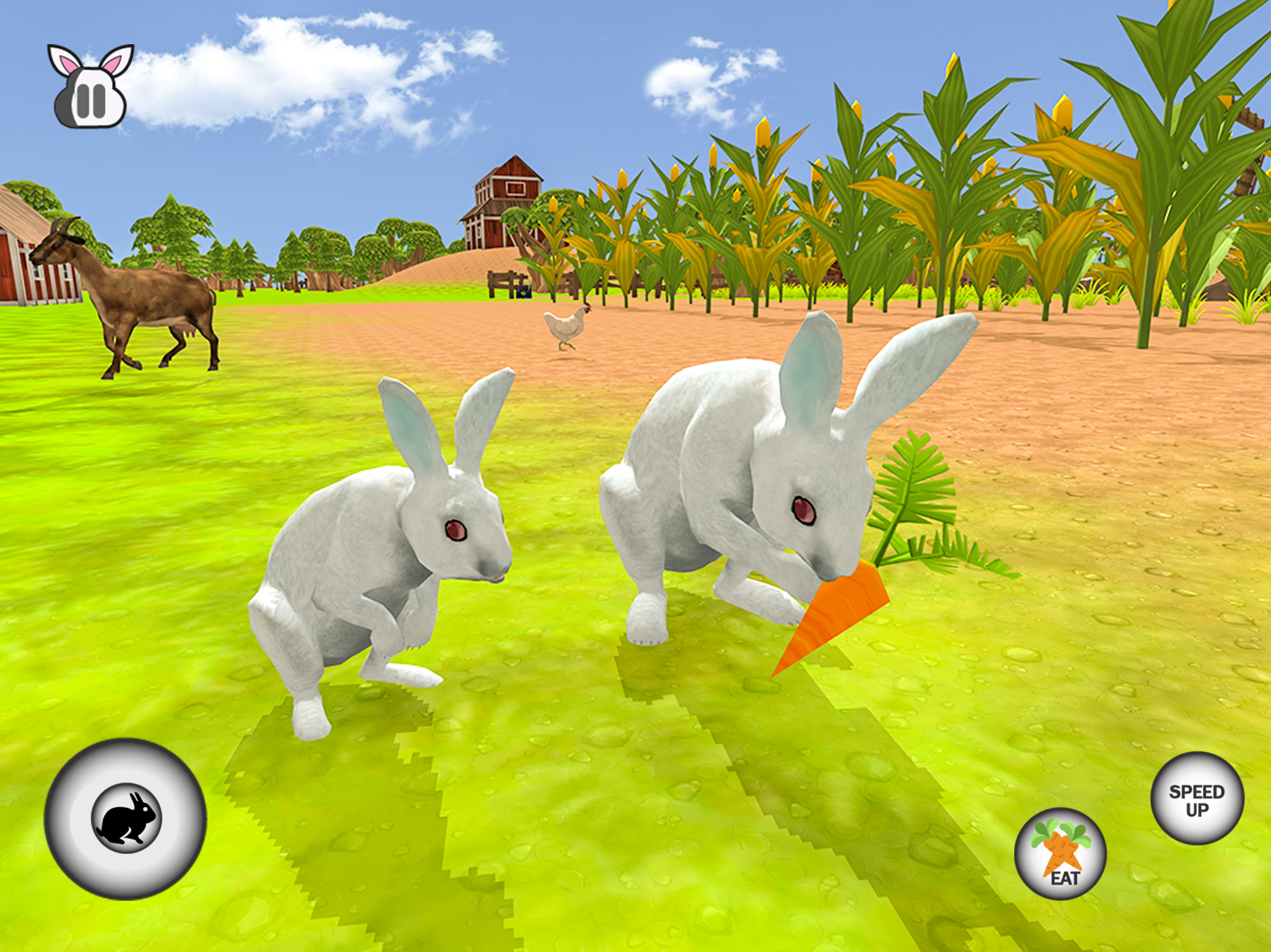 My Rabbit Bunny Simulator