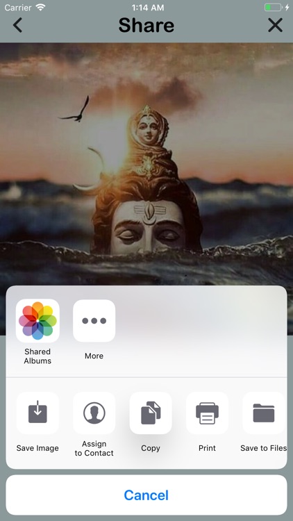 Shiv bhakt screenshot-4