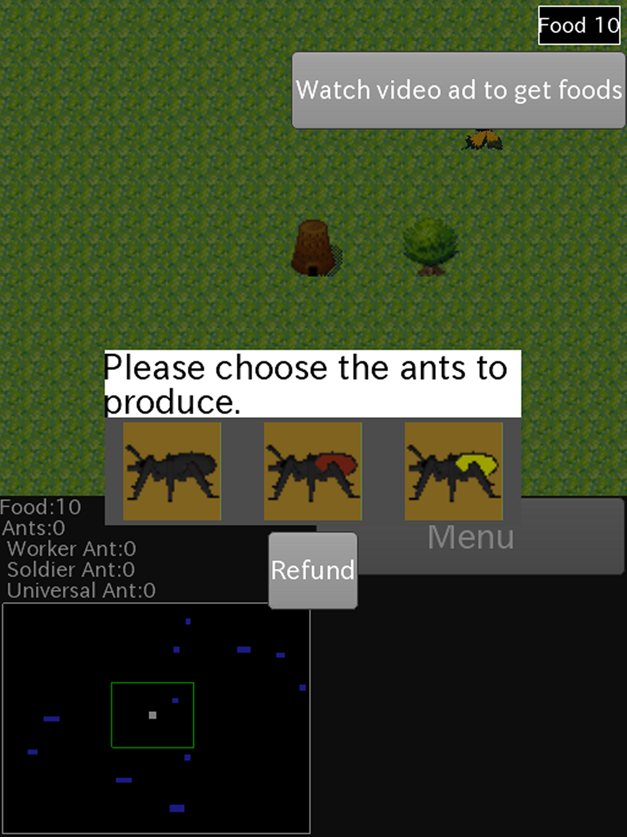 Ants Life