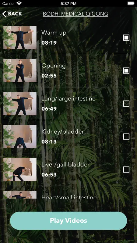 Bodhi Medical Qigong screenshot 6 of 7