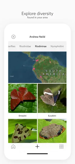 Game screenshot Leps by Fieldguide hack