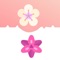 This FlowerConnect App is awesome to learn and play