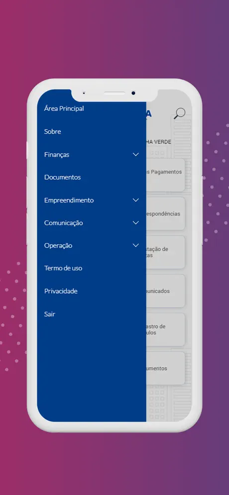 Conectiva