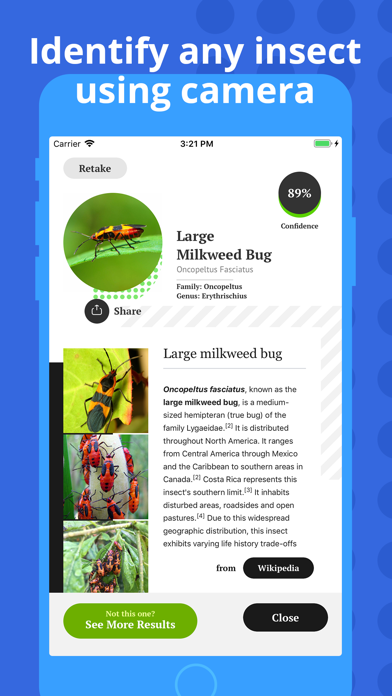 Insect Identification screenshot 2