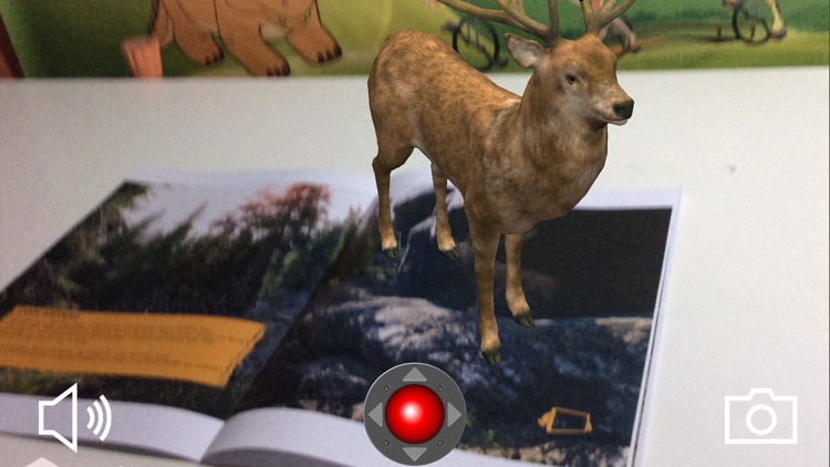 Τα ζώα του δάσους