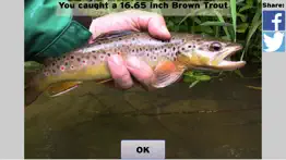 fly fishing simulator problems & solutions and troubleshooting guide - 4