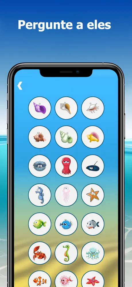 The Conch Shell: Magic answers