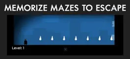 Game screenshot Remember, Lights Out apk