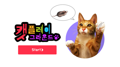 Cat Play Zone Screenshot 1 of 2