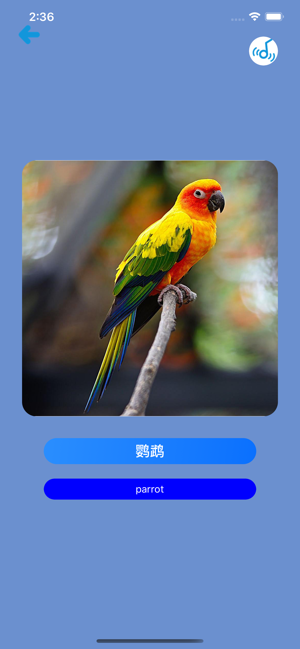 Learn Chinese Simple APP
