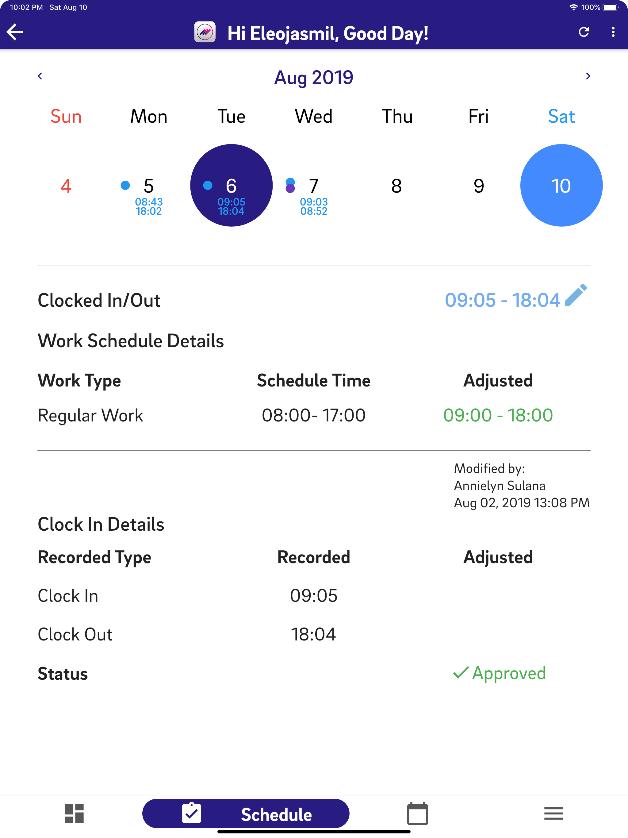 My Timesheet (Witty) screenshot 12