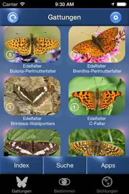 Game screenshot Schmetterling Id - Tagfalter mod apk
