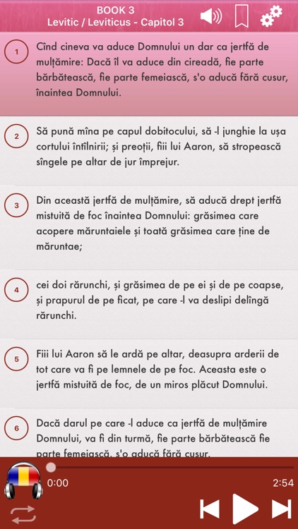 Romanian Bible Audio mp3 Pro screenshot-3