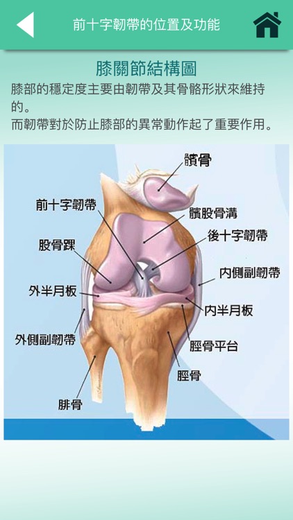 前十字韌帶手術後的護理及康復