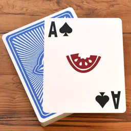 Dogmelon Solitaire app icon
