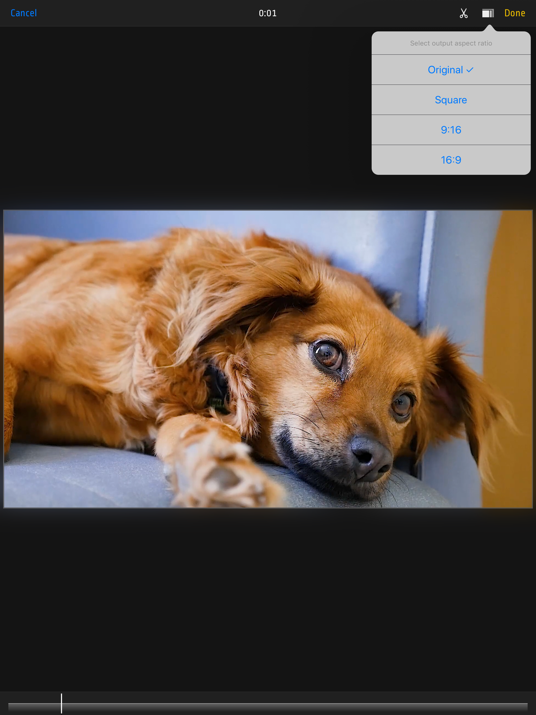 https://is1-ssl.mzstatic.com/image/thumb/Purple123/v4/be/da/dd/bedadded-2381-a69a-7687-ac2edafe0773/pr_source.png/2048x2732.png