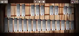 Game screenshot Professional Glockenspiel mod apk