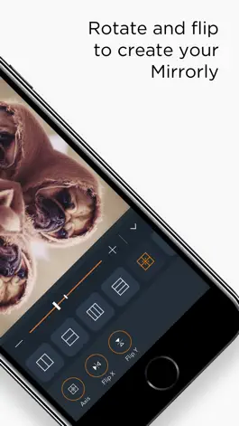 Game screenshot Mirrorly: Reflect Your Photos apk