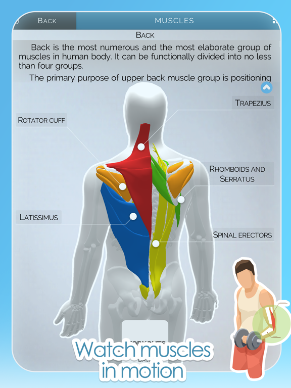 Gym of Tomorrow: Workout Coach iPad screenshot 4 - Health & Fitness app