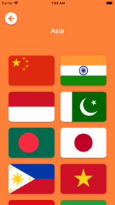 Flags 4 Fun screenshot