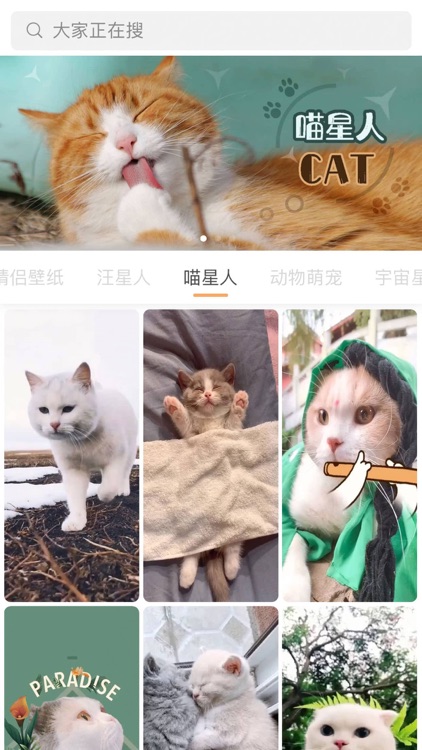 tapLive - 动态壁纸制作