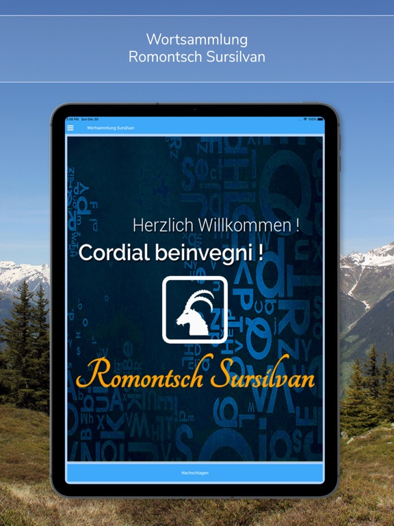 Screenshot #4 pour Wortsammlung Sursilvan