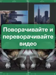 video rotate and flip айпад изображения 1