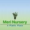 Meri Nursery house plants pictures 