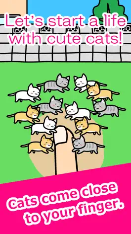 Game screenshot Play with Cats - relaxing game mod apk