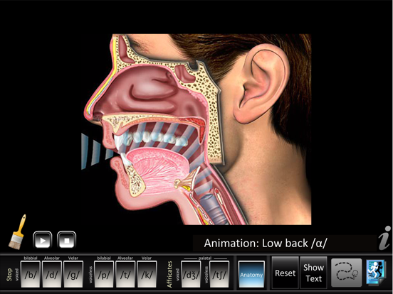 Screenshot #6 pour Affricates Stops