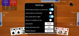 Game screenshot Pinochle Classic apk