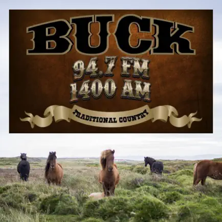 94.7 & AM 1400 Buck FM Читы