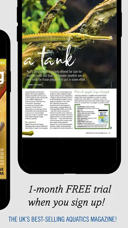 Practical Fishkeeping screenshot 2 of 6