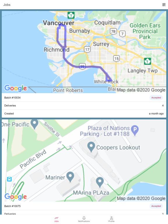 Screenshot #5 pour DeliveryBizConnect Driver App