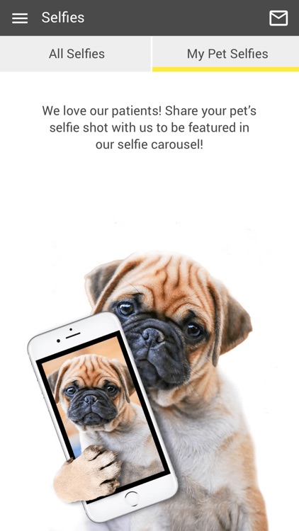 Indian Prairie Vet screenshot-3