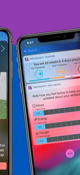 Game screenshot Pregnancy Today - Baby Tracker hack