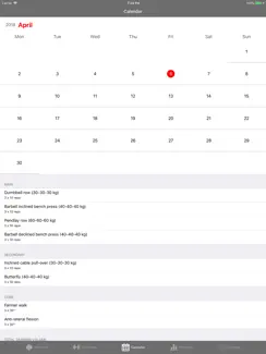 Ace Workout iPad image 4