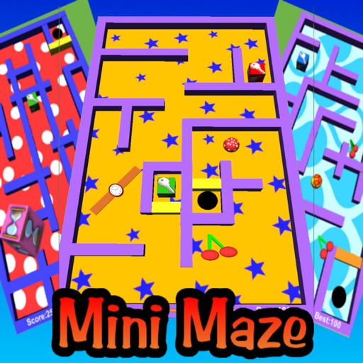 Mini Maze Pro icon
