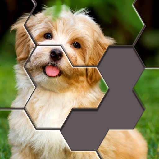 Hexa Jigsaw Puzzle™